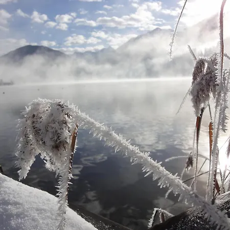 게스트하우스 Haus Binter 바이센제