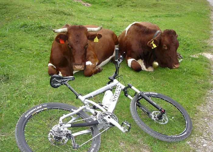 Penzion Haus Binter 3*