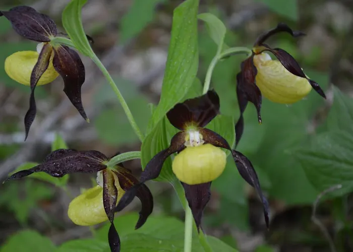 Guest house Haus Binter Weissensee